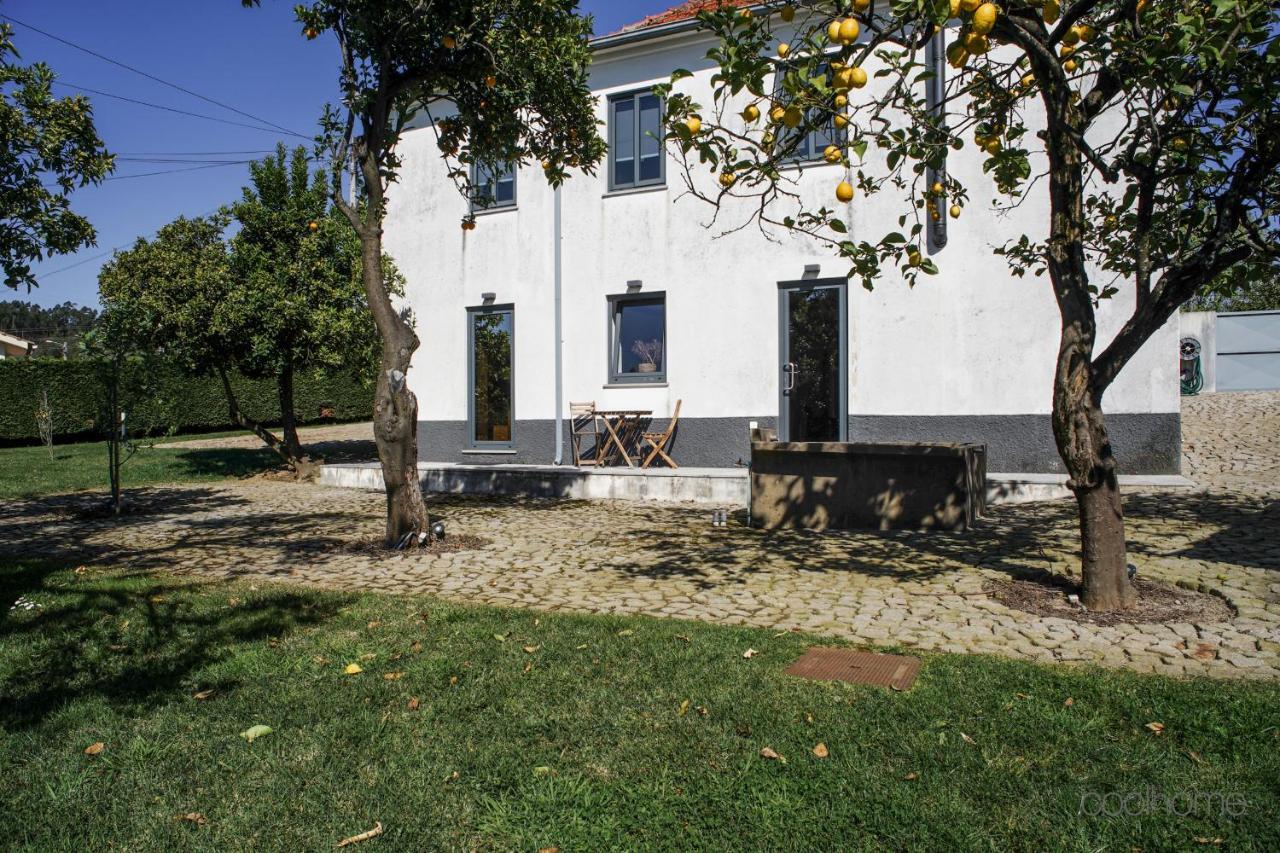 12 Casa d'Avó Albergaria-a-Velha Exterior foto