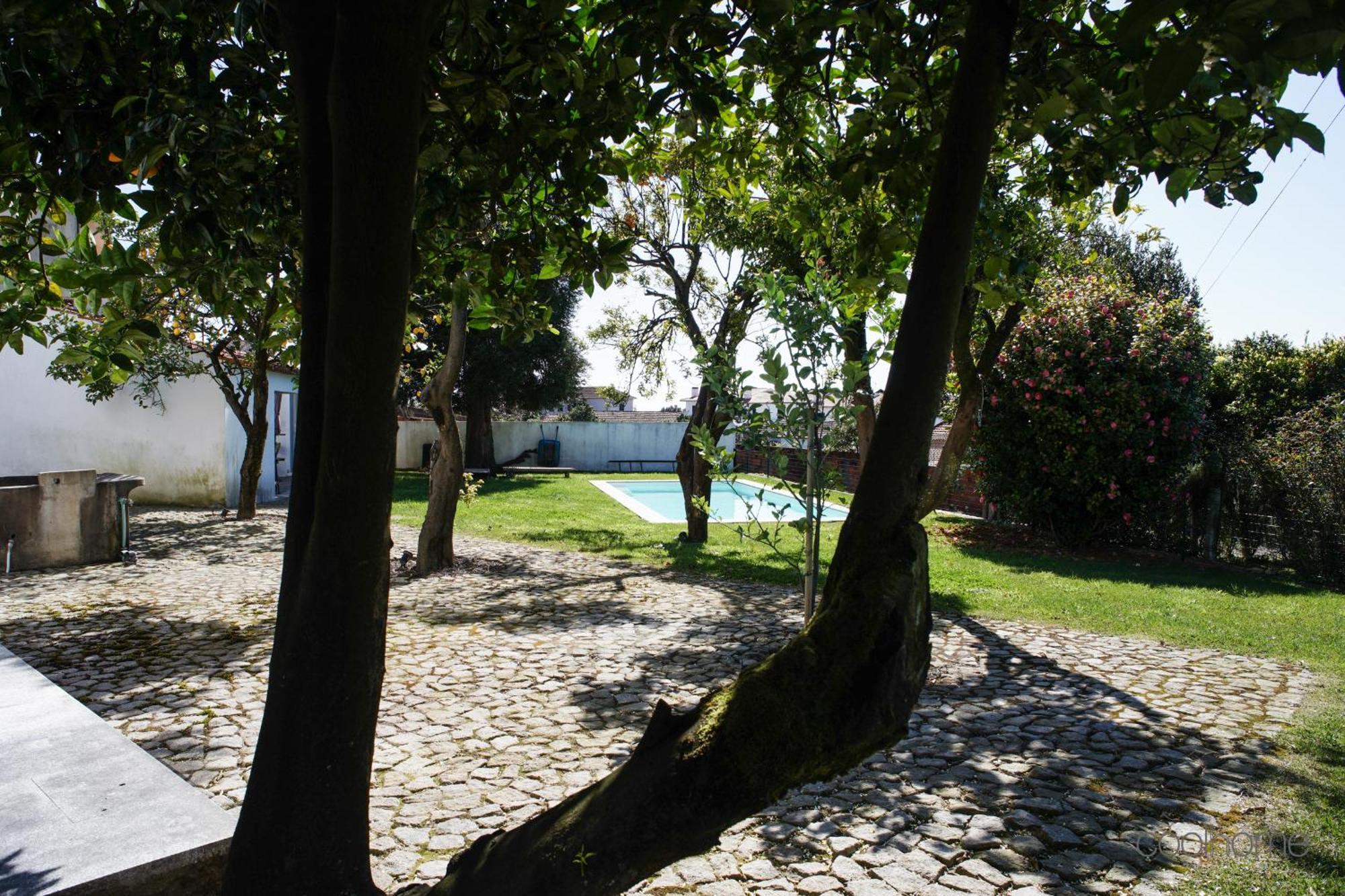 12 Casa d'Avó Albergaria-a-Velha Exterior foto